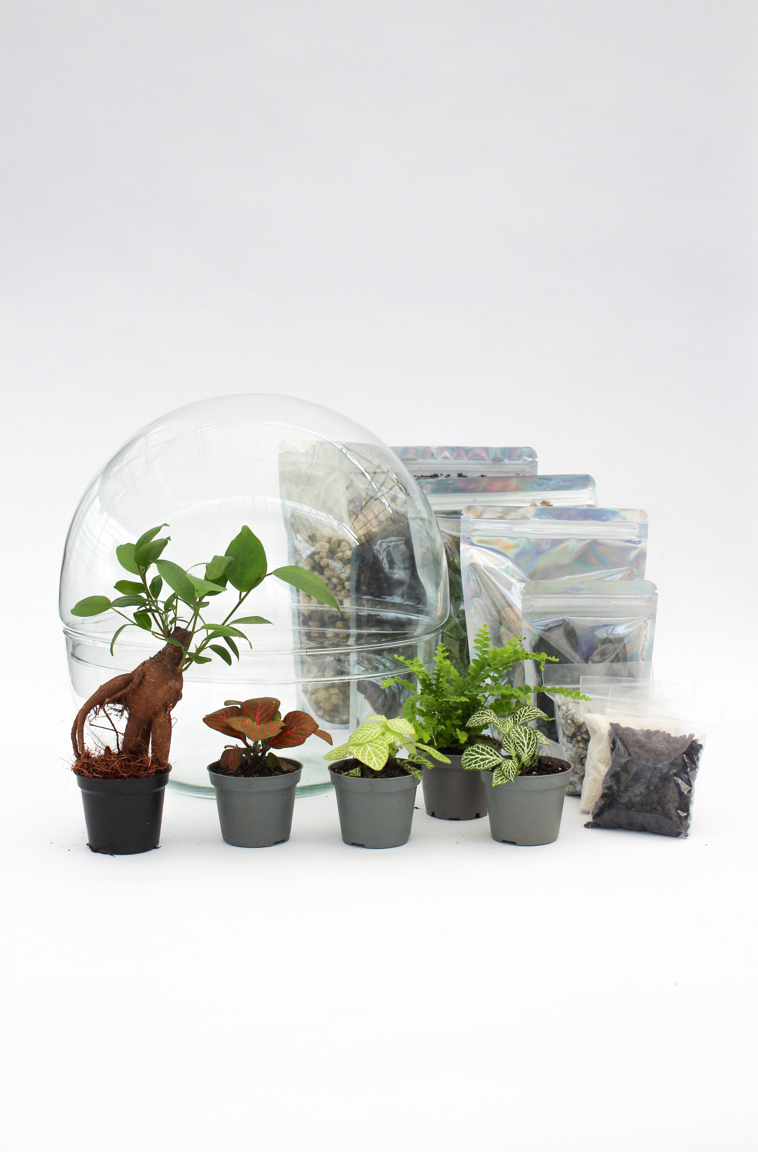Kit DIY terrarium Haute-Nendaz