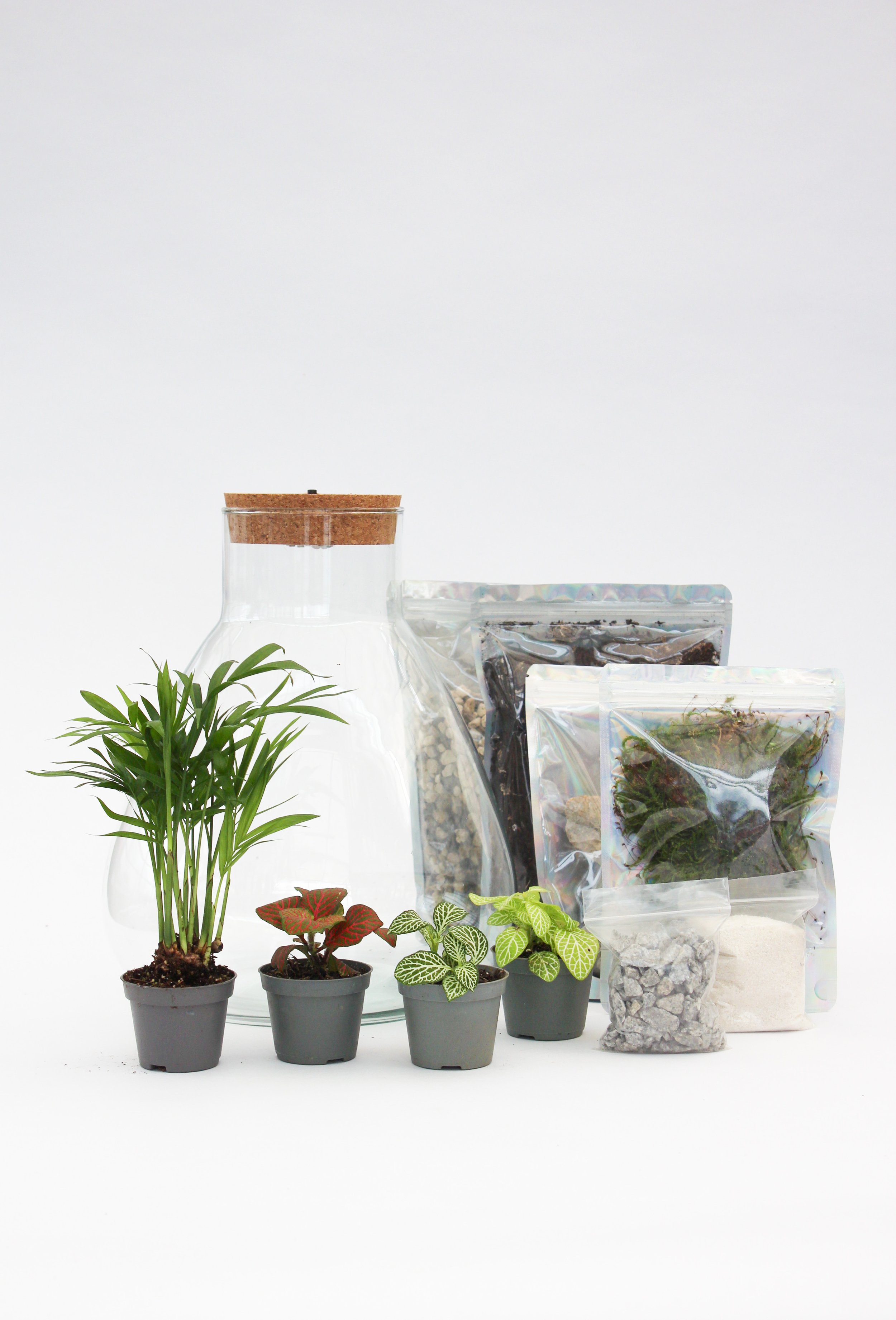 Kit DIY terrarium Lausanne