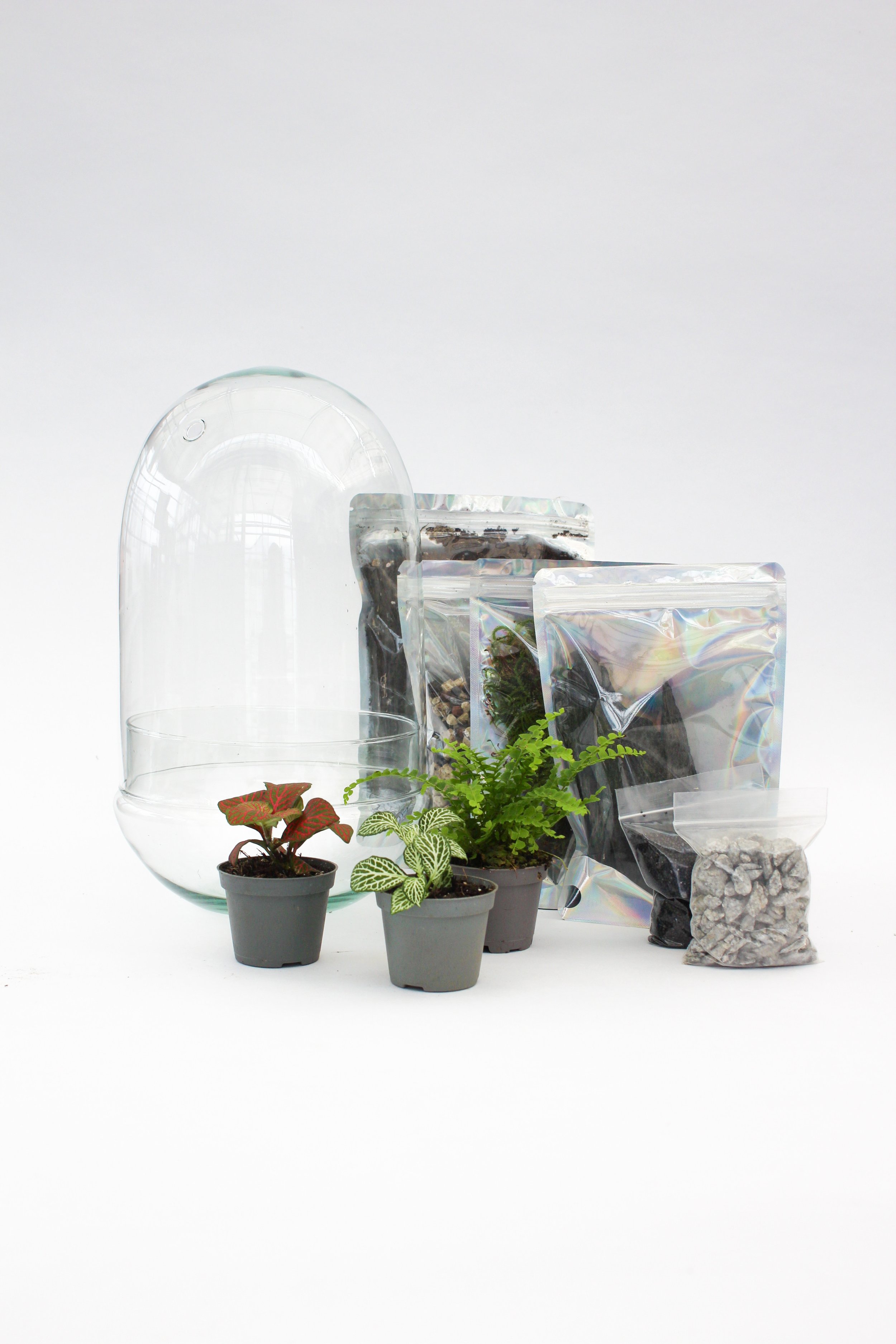 Kit DIY terrarium Jungfrau
