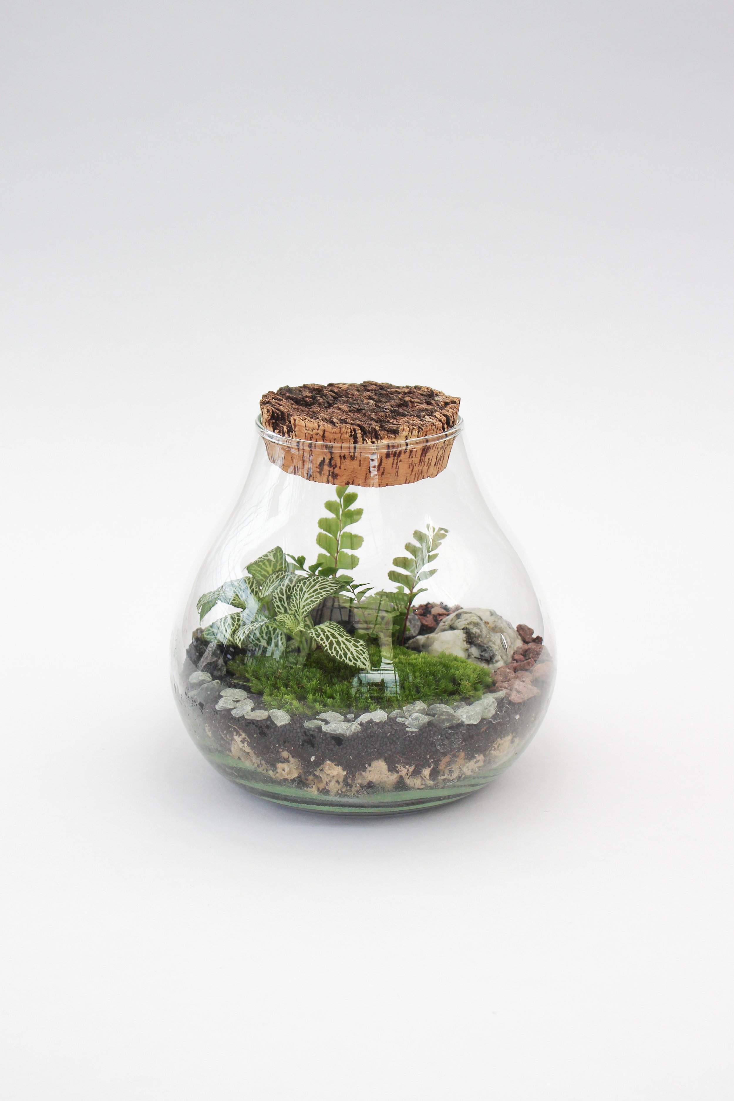Terrarium Sargans
