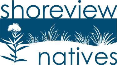 About Shoreview Natives About And Youtube Video Tutorials Shoreview Natives