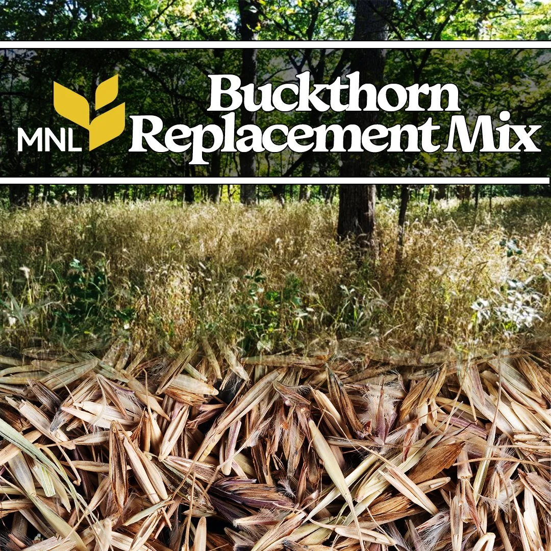 Buckthorn Replacement Seed Mix Covers 500 square feet.