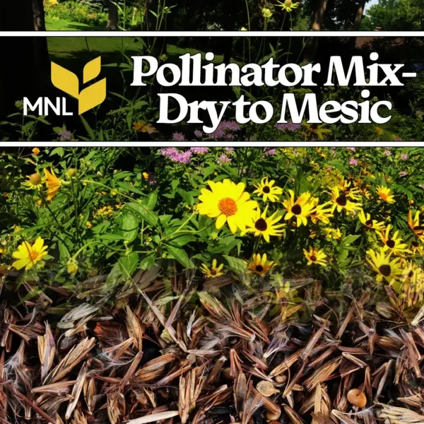 Pollinator Mix – Dry to Mesic  (Covers 100 square feet)