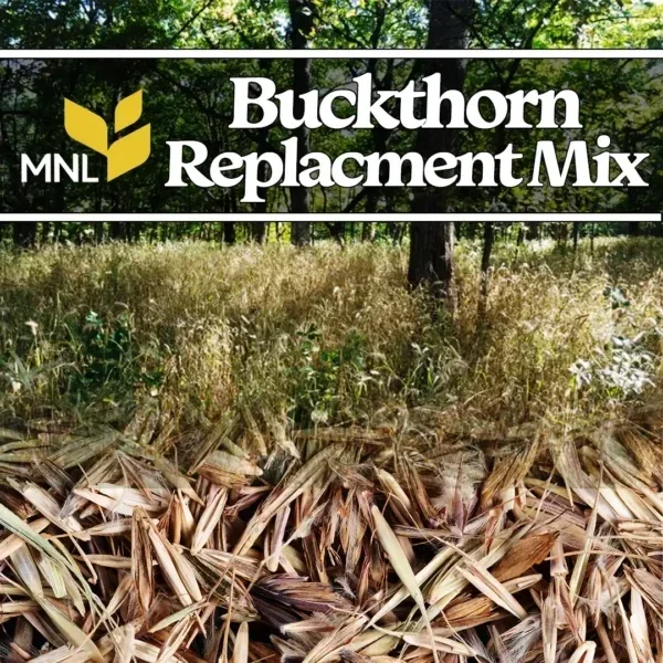 buckthorn_replacement-copy-600x600.webp