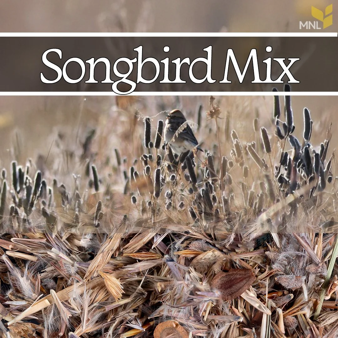 Songbird Mix (Covers 100 square feet)