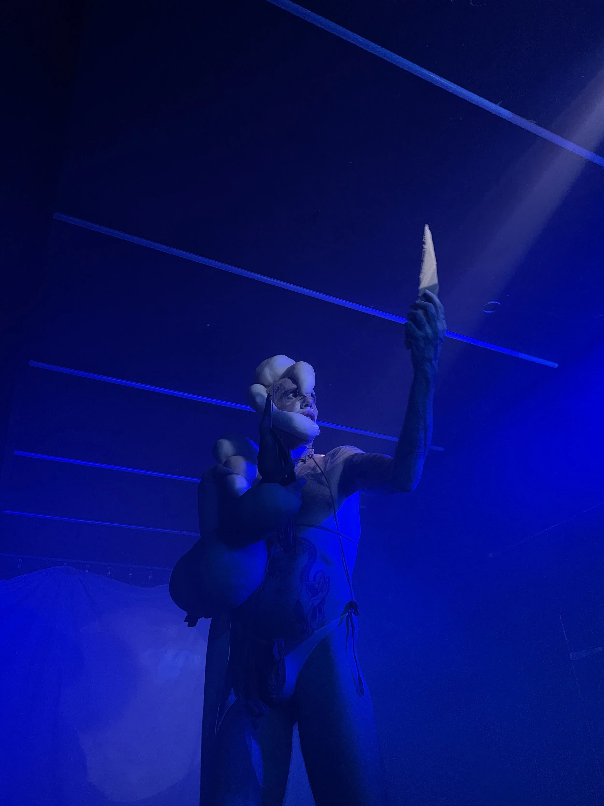 pRETZEL cAGE dISEASES OF cANARIES.jpeg