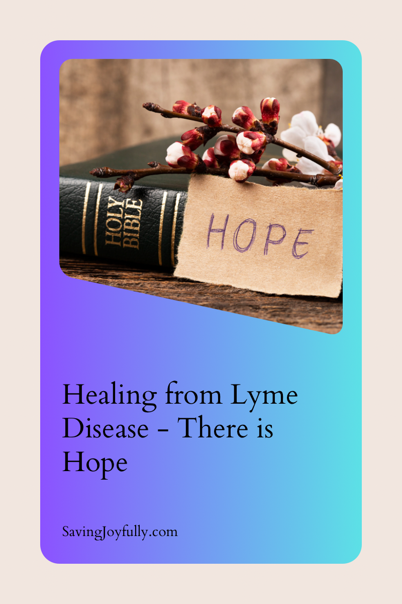 Healing From Lyme Disease - There Is Hope