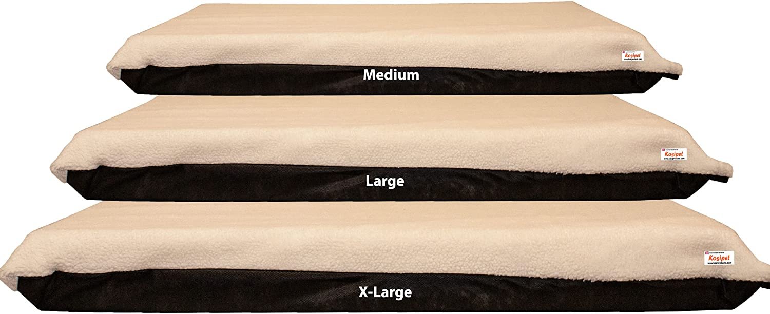 71TGh2LiWaL._AC_SL1500_.jpg