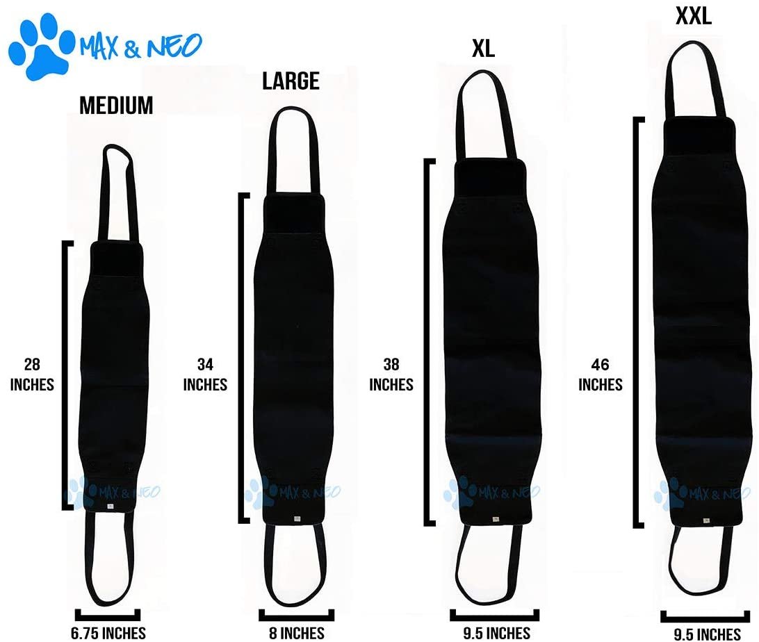 61XOCR1A78L._AC_SL1200_.jpg