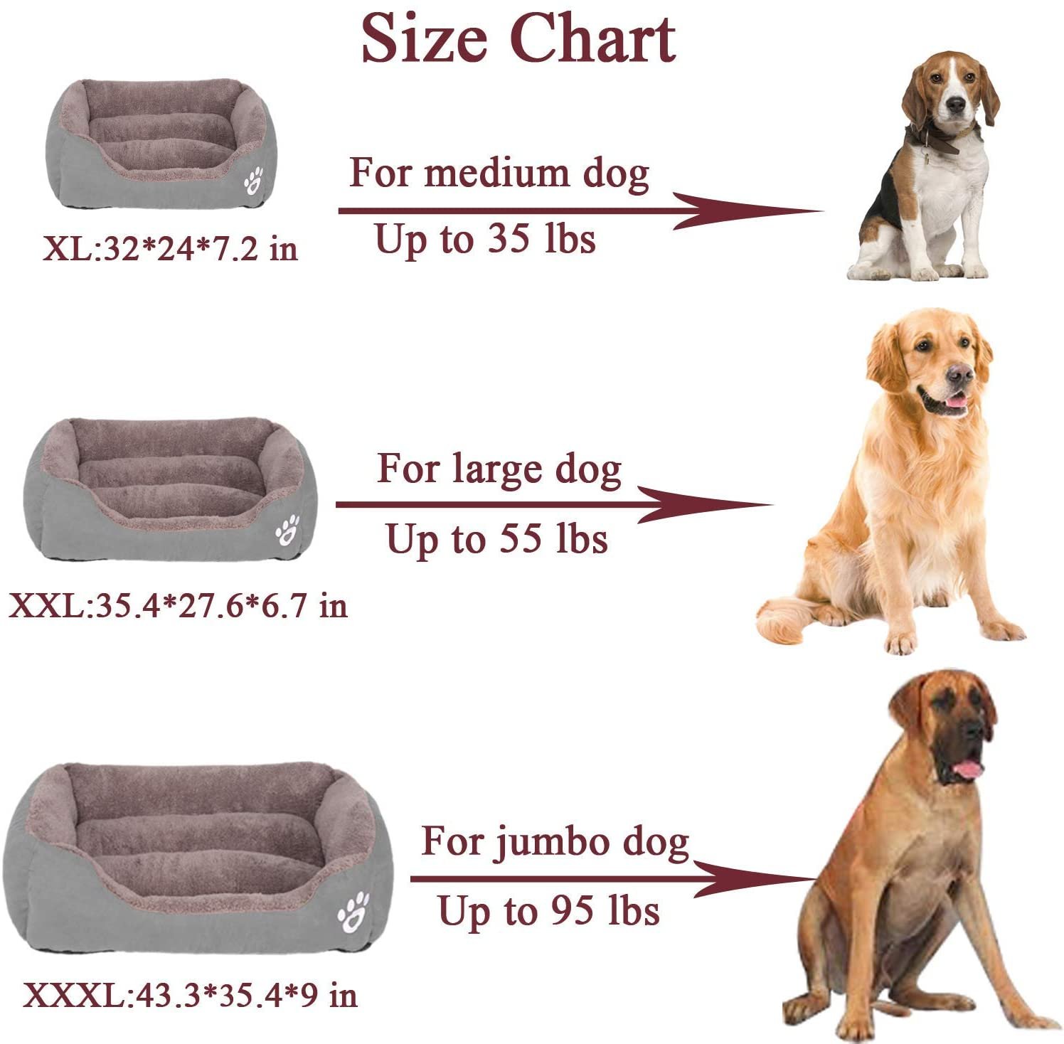 71JDHbb-+6L._AC_SL1500_.jpg