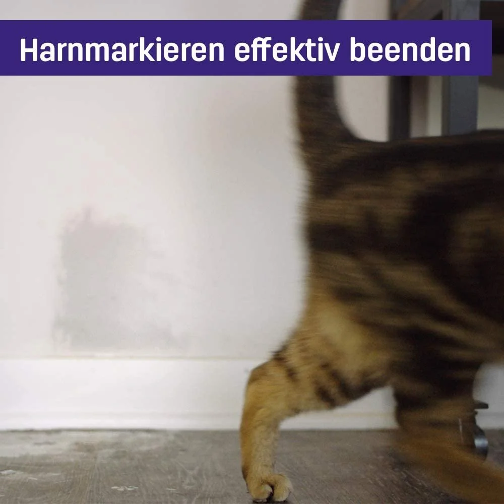 51CPNZmAx7L._AC_SL1000_.jpg