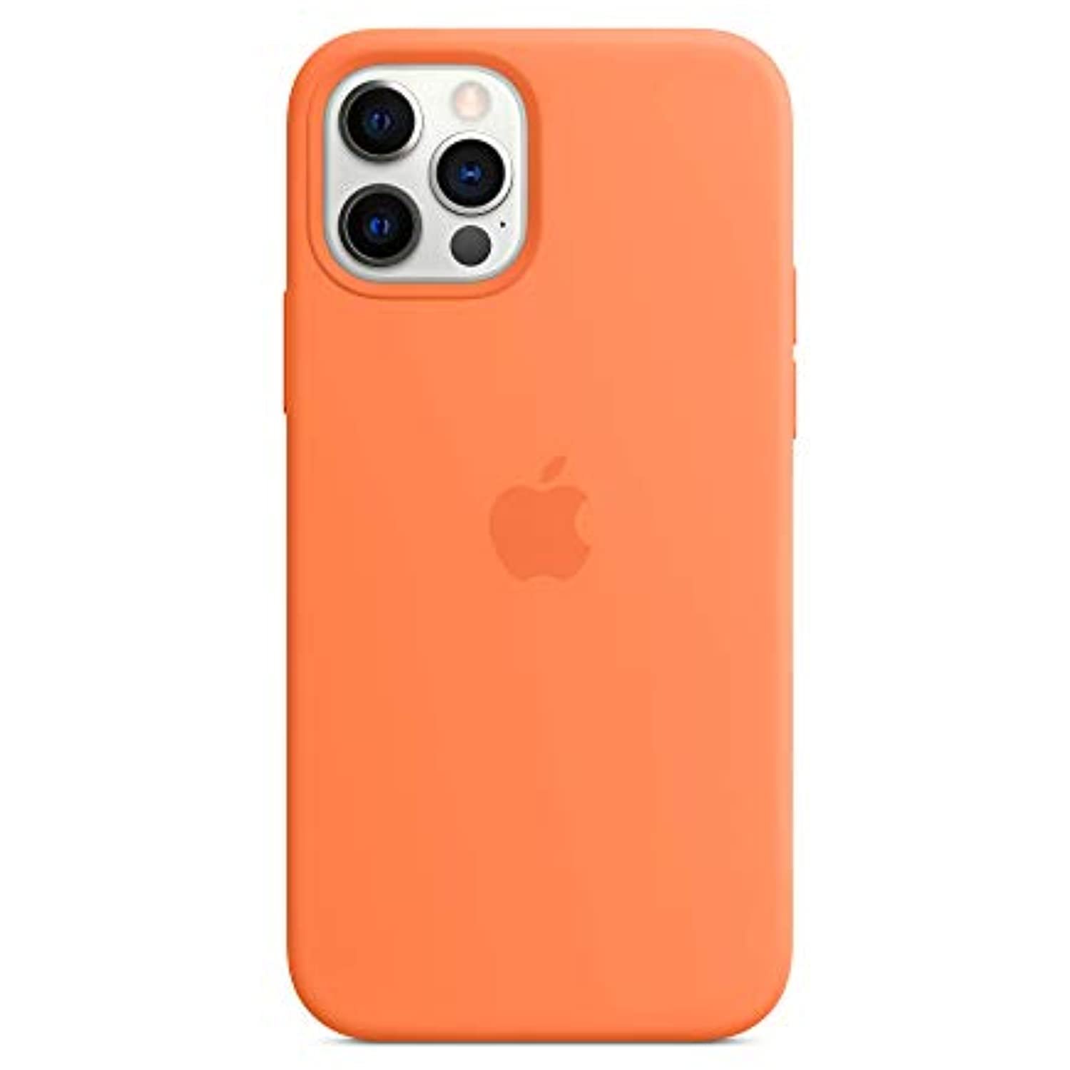 31uvSemAlPL._AC_US1500_.jpg