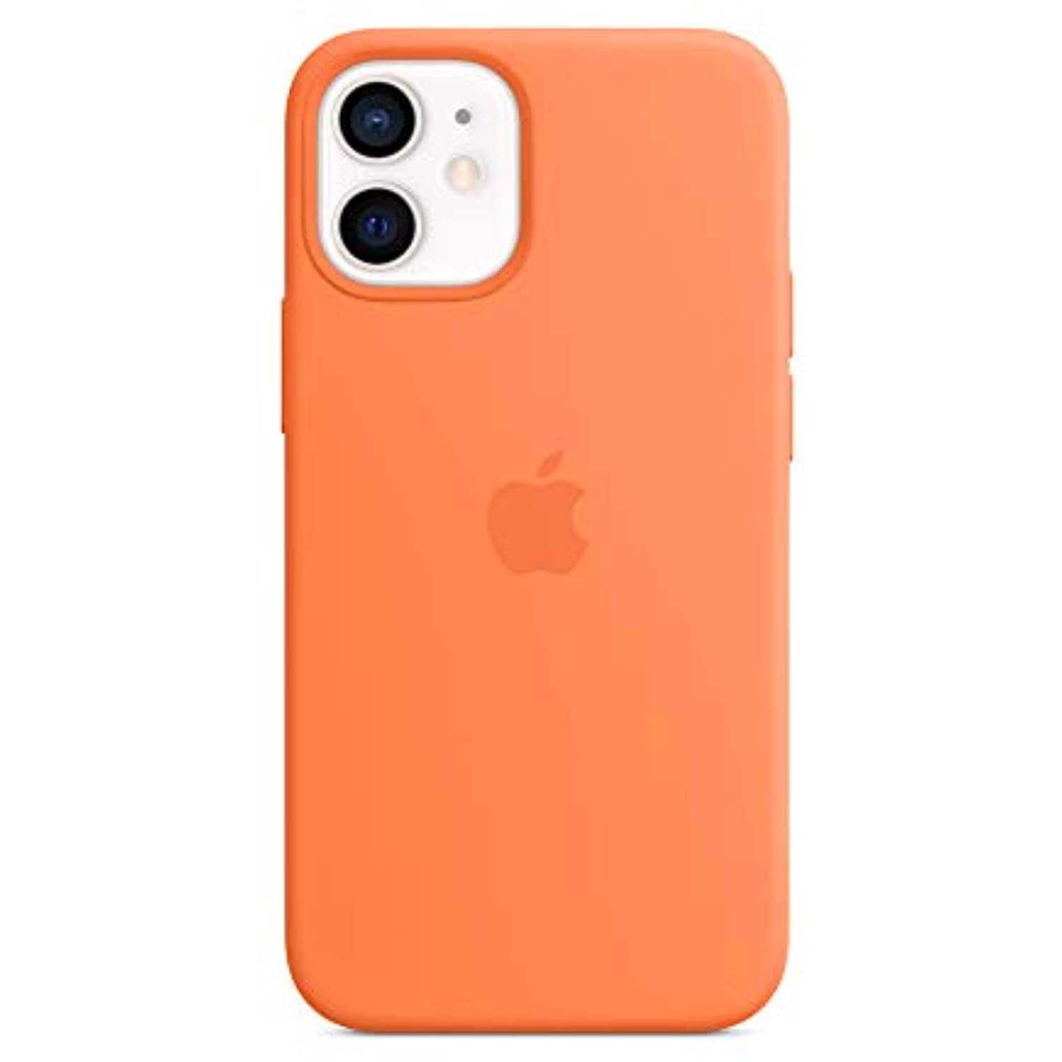 318nq45PotL._AC_US1500_.jpg