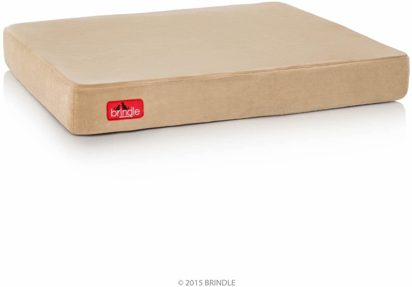 61MFp-JaylL._AC_SL1500_.jpg