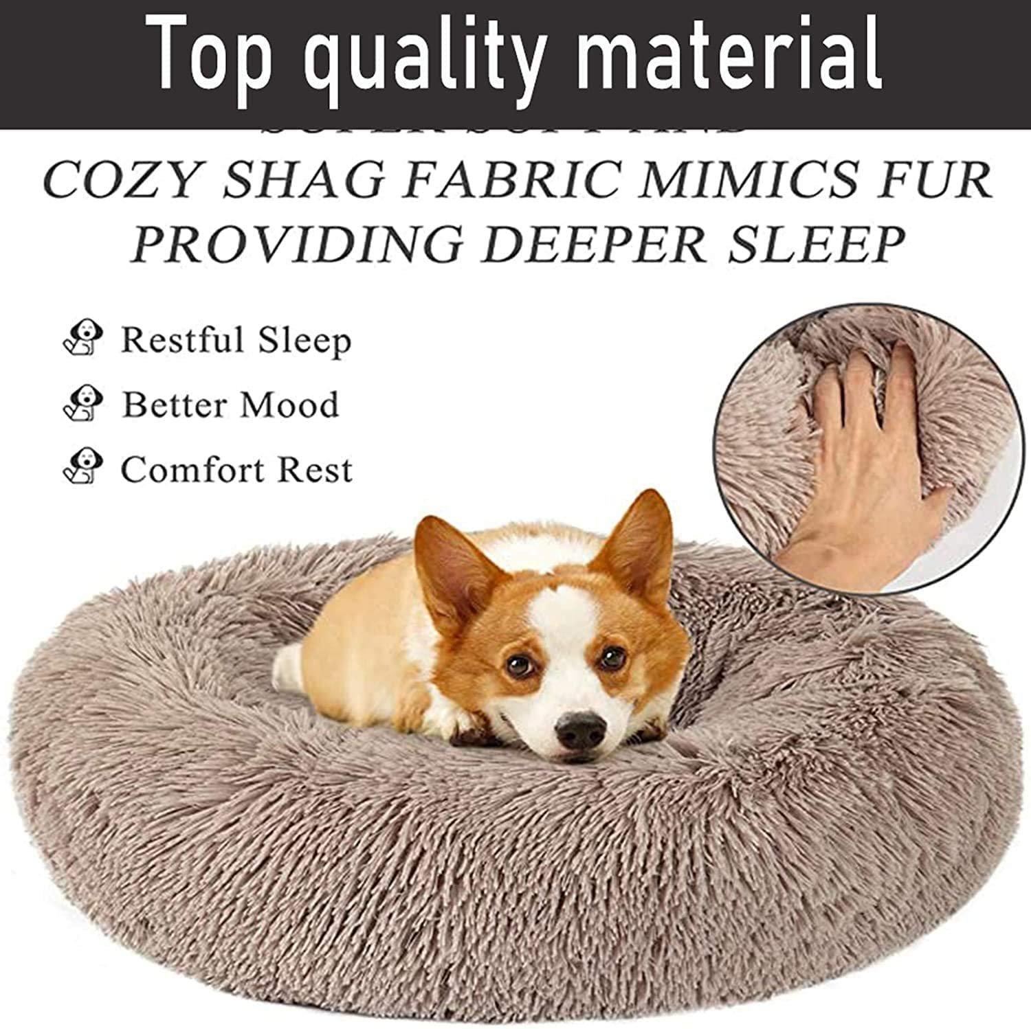 71VmwCxeEbL._AC_SL1500_.jpg