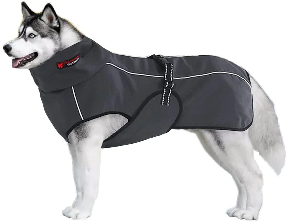 51nxRCBLnsS._AC_SL1000_.jpg