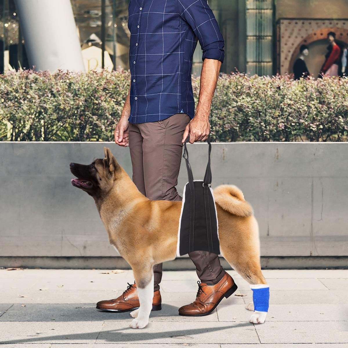 71C3XIuG6IL._AC_SL1200_.jpg