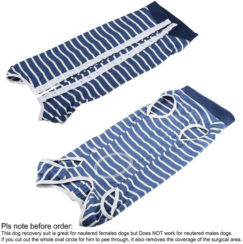 71DoDnc1bRL._AC_SL1001_.jpg