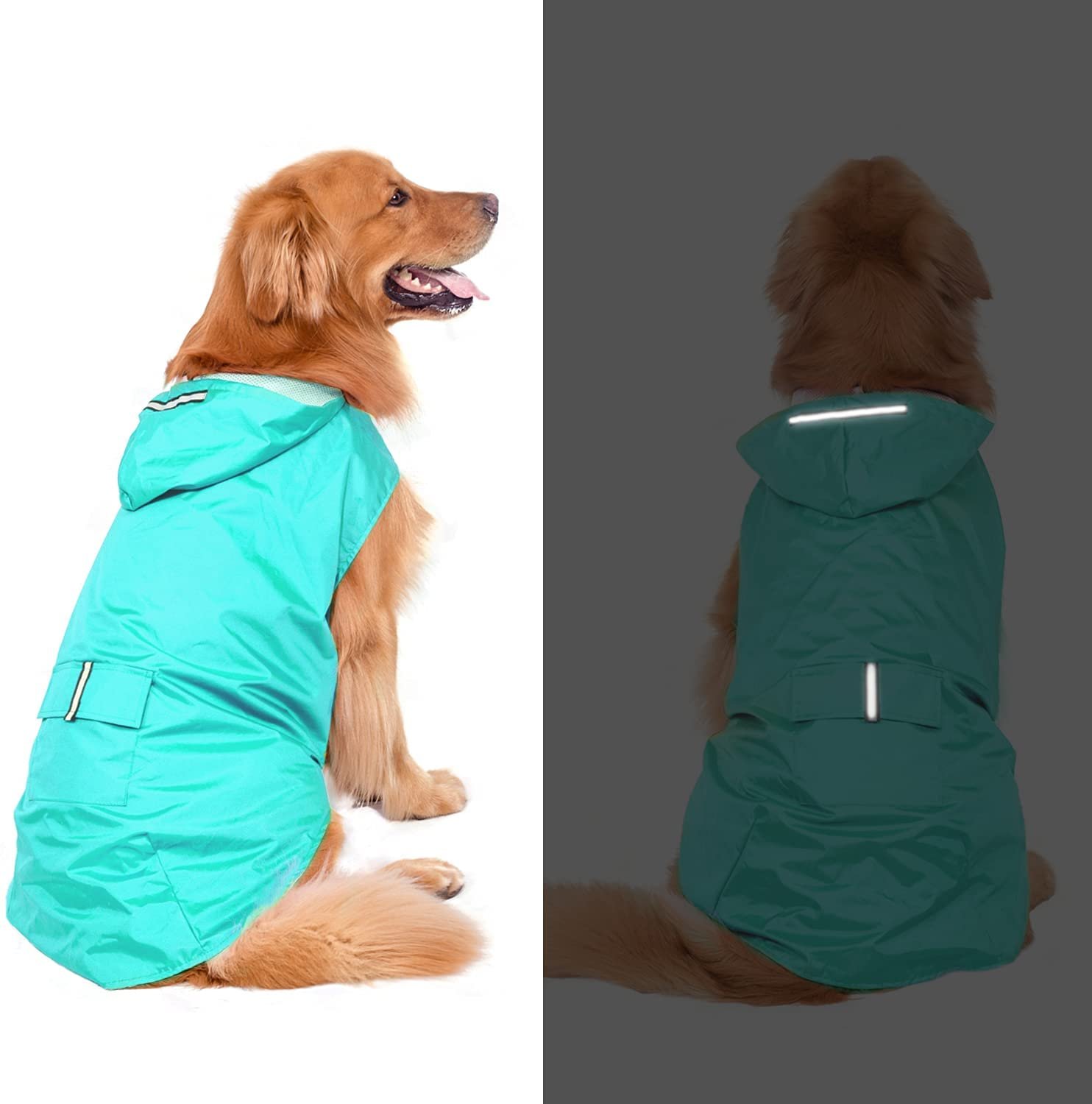 61ETwympSzS._AC_SL1500_.jpg