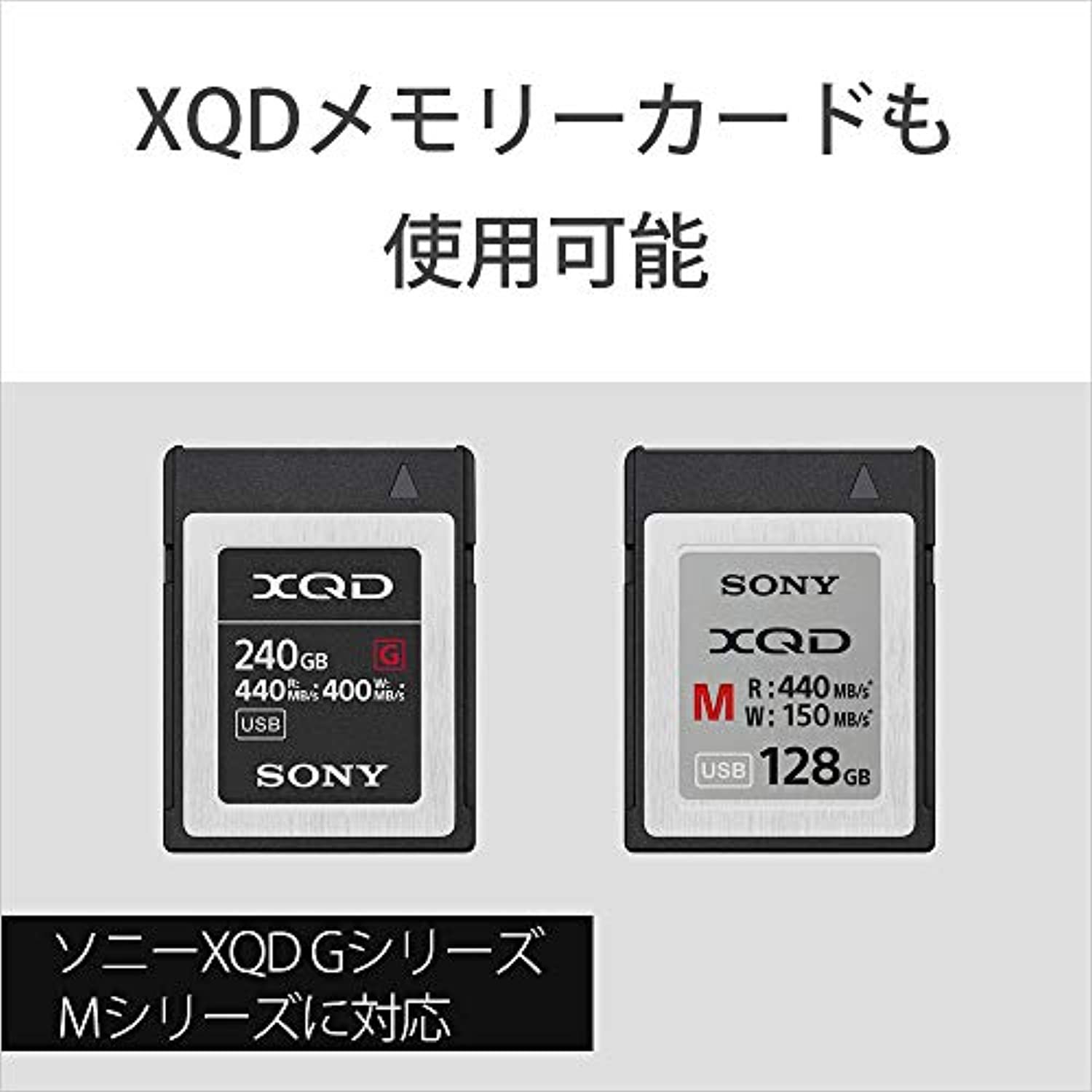 51XTxrr5v0L._AC_US1500_.jpg