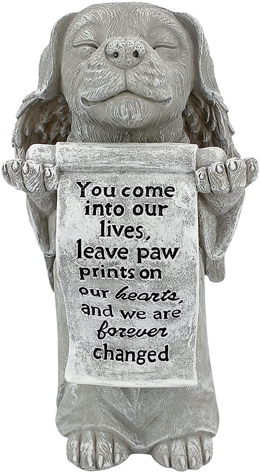 914CcJrDIsL._AC_SL1500_.jpg