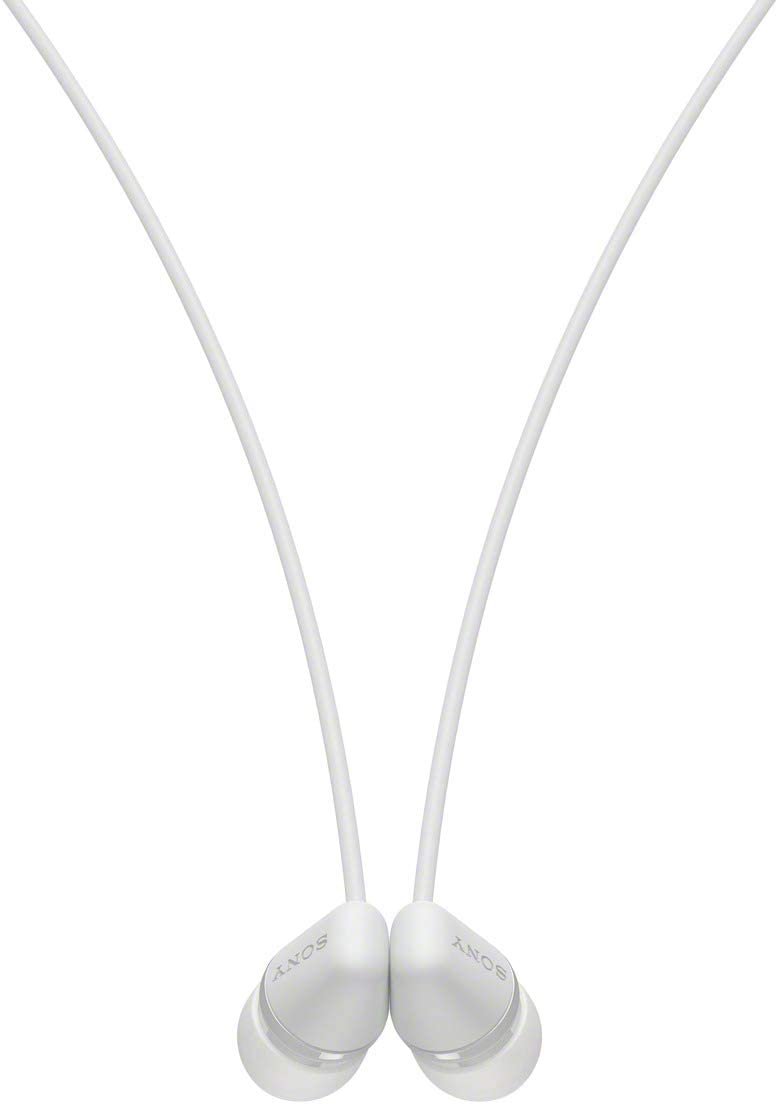 415b8LvtIwL._AC_SL1200_.jpg