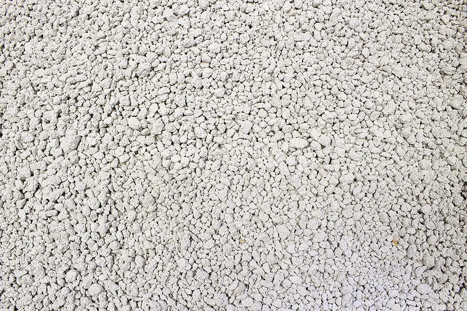 A1q2l38CMxL._AC_SL1500_.jpg