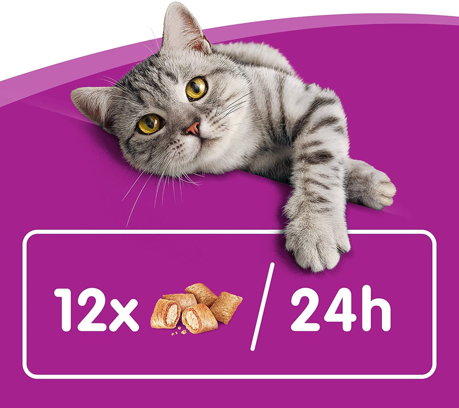 81OZb6V72jL._AC_SL1500_.jpg