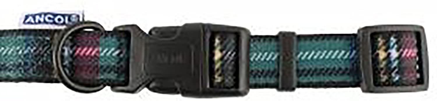 713u5uN5cHL._AC_SL1500_.jpg