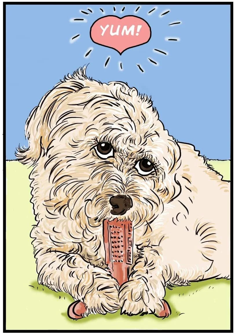 71aWDK8vnFL._AC_SL1265_.jpg
