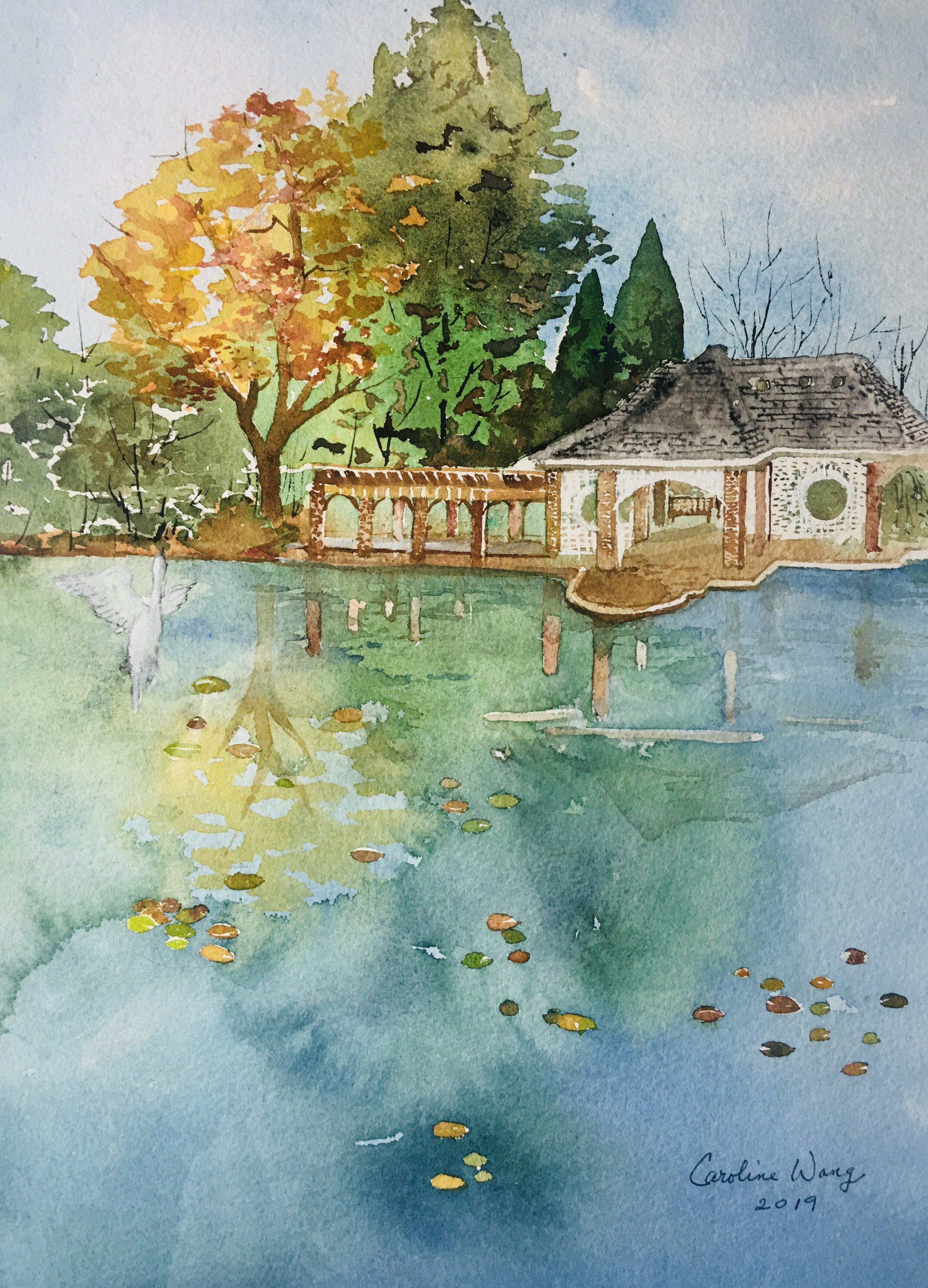 Lotus garden.jpg