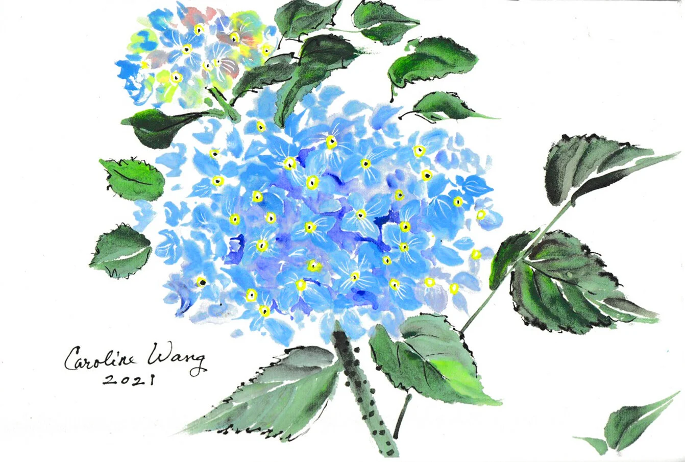 Title: Blue HydrangeasArtist: Caroline Wang