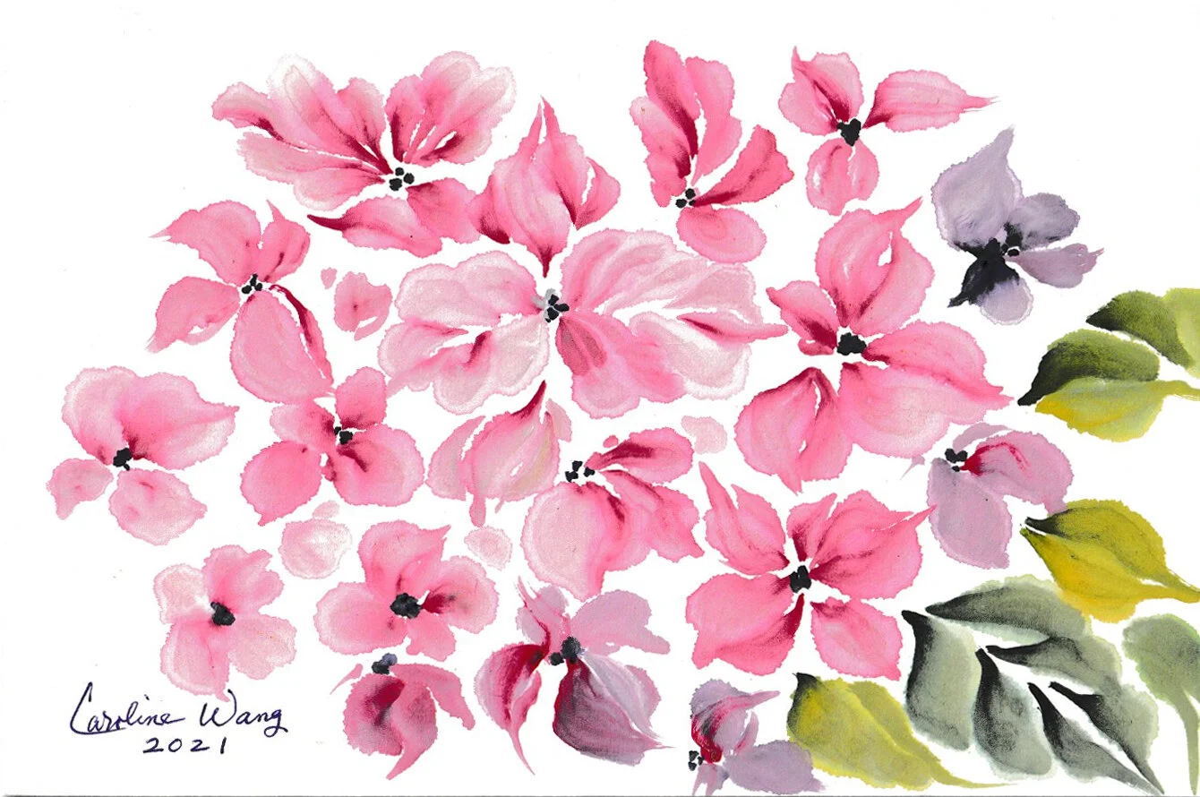 Title: Pinkerella HydrangeaArtist: C. Wang