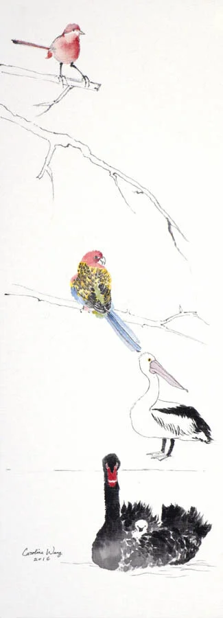 AA103 Australian Birds - Watercolor on Linen