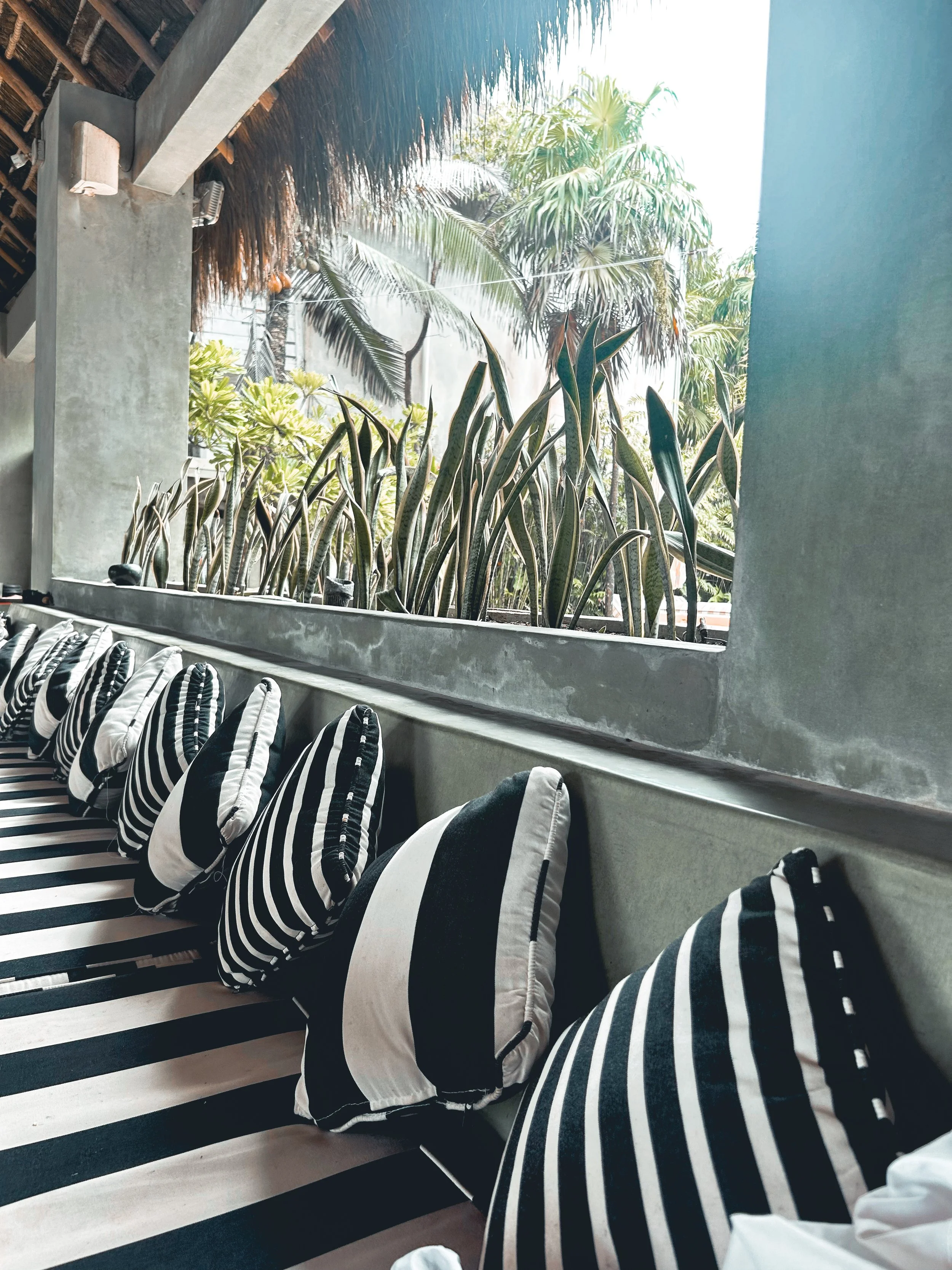 Striped black and white cushions on a ledge with lush green tropical plants and palm trees outside.