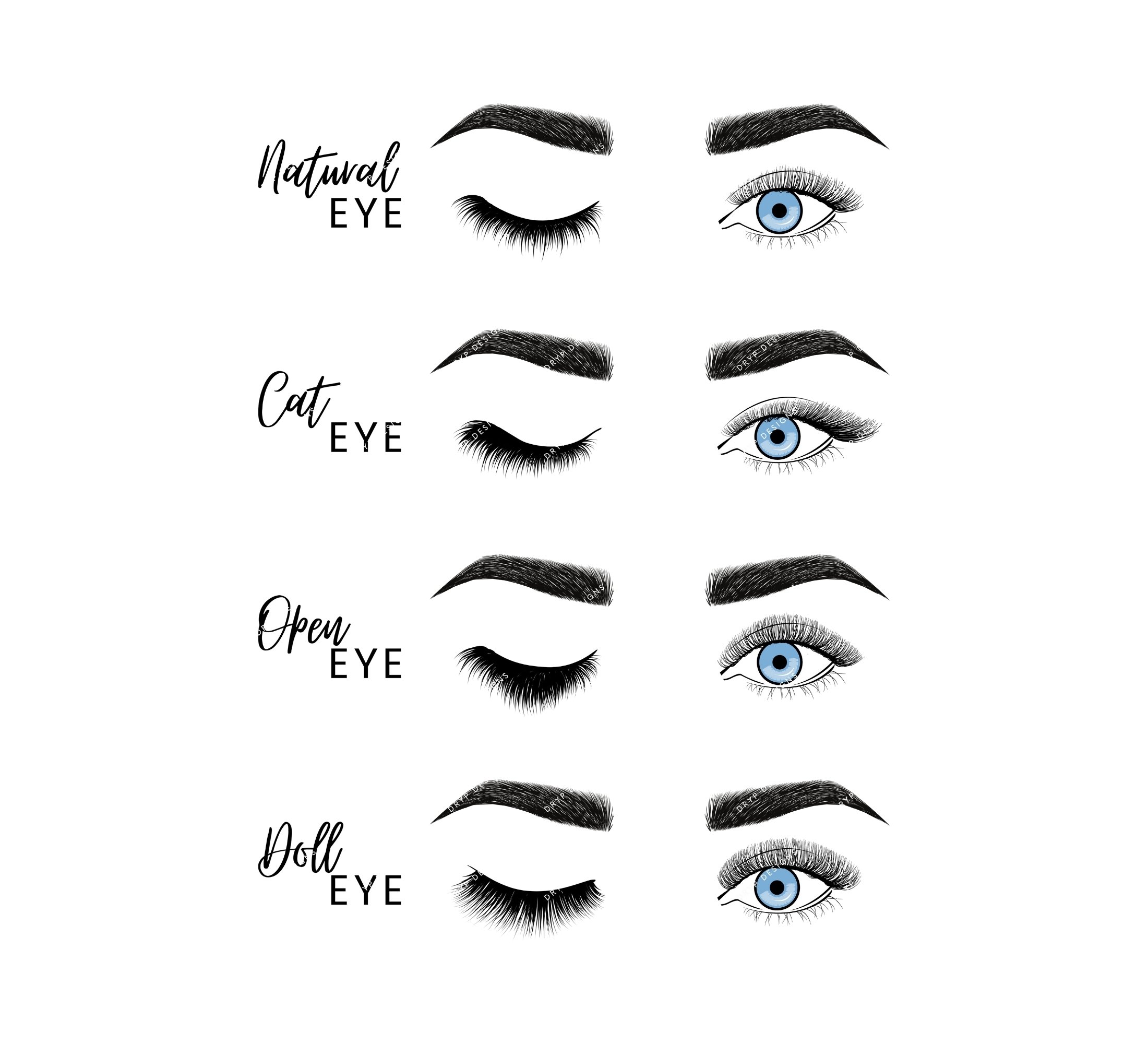 Eyelash Extension Style Chart Digital Art Print