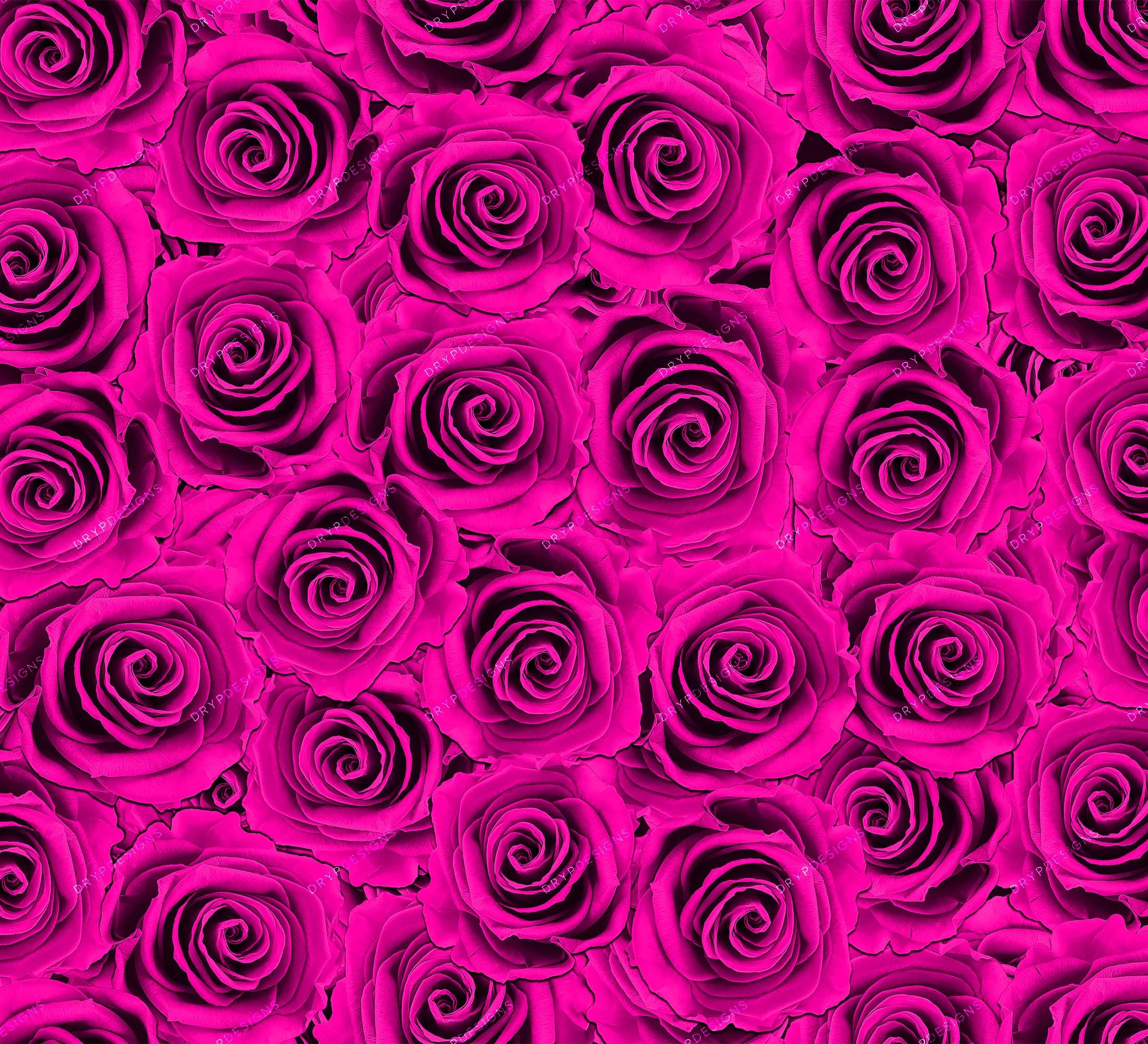Pink Floral Roses Pictures, Photos, and Images for Facebook, Tumblr,  Pinterest, and Twitter
