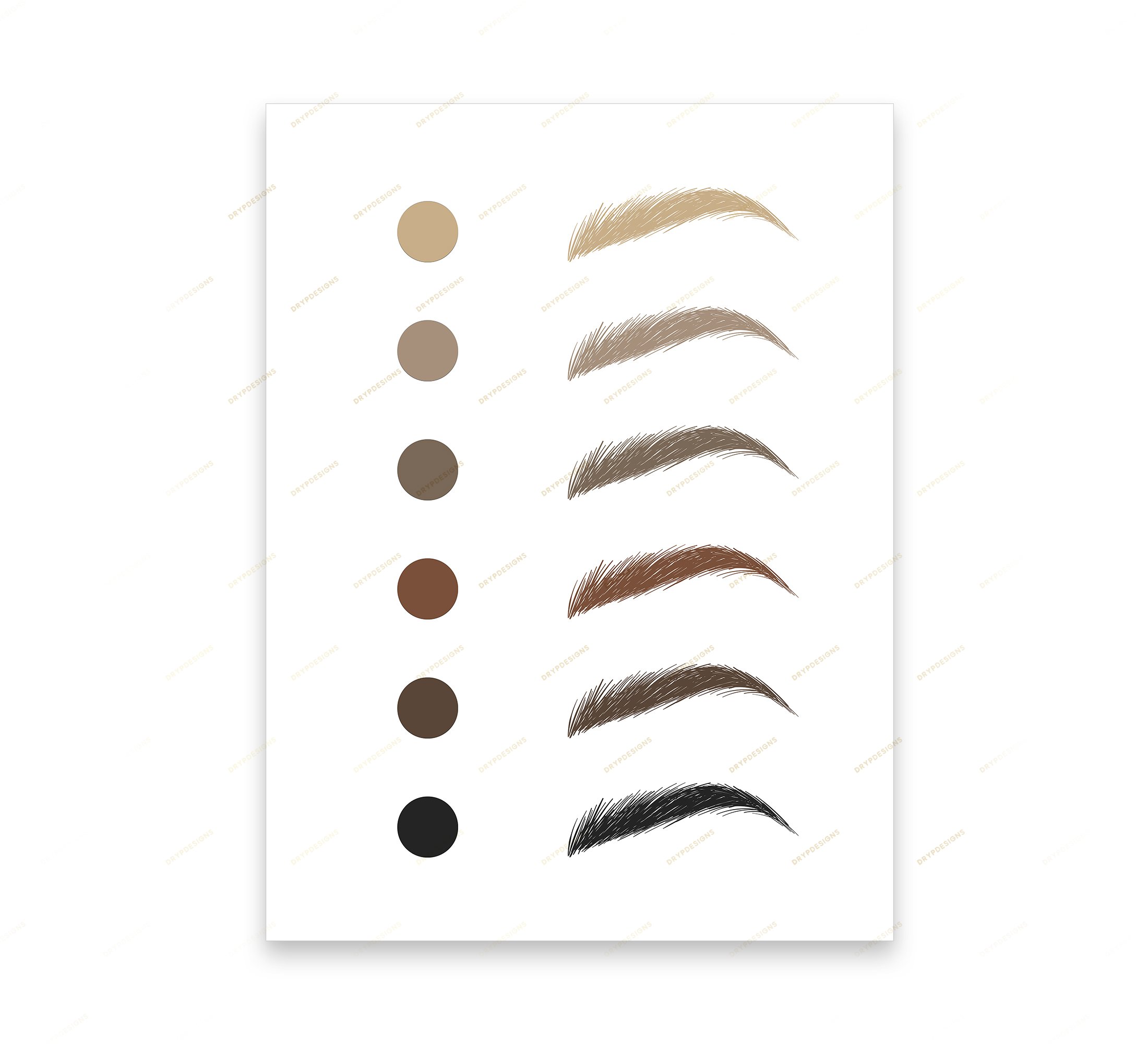 Eyebrow Color Chart