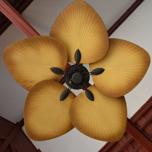 Heating Efficiency With A Ceiling Fan, Flower Ceiling Fan