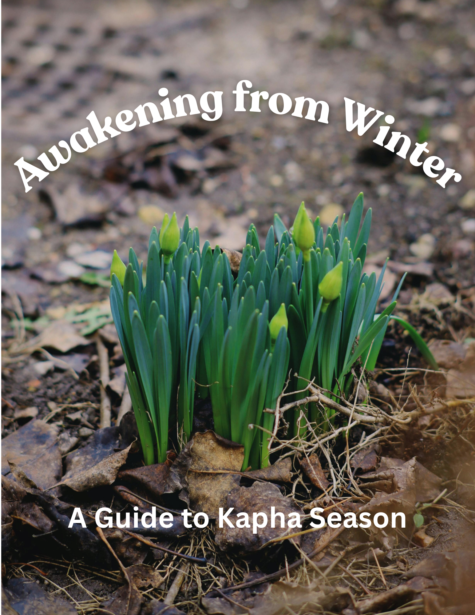 Awakening from Winter: A Guide to Kapha Season