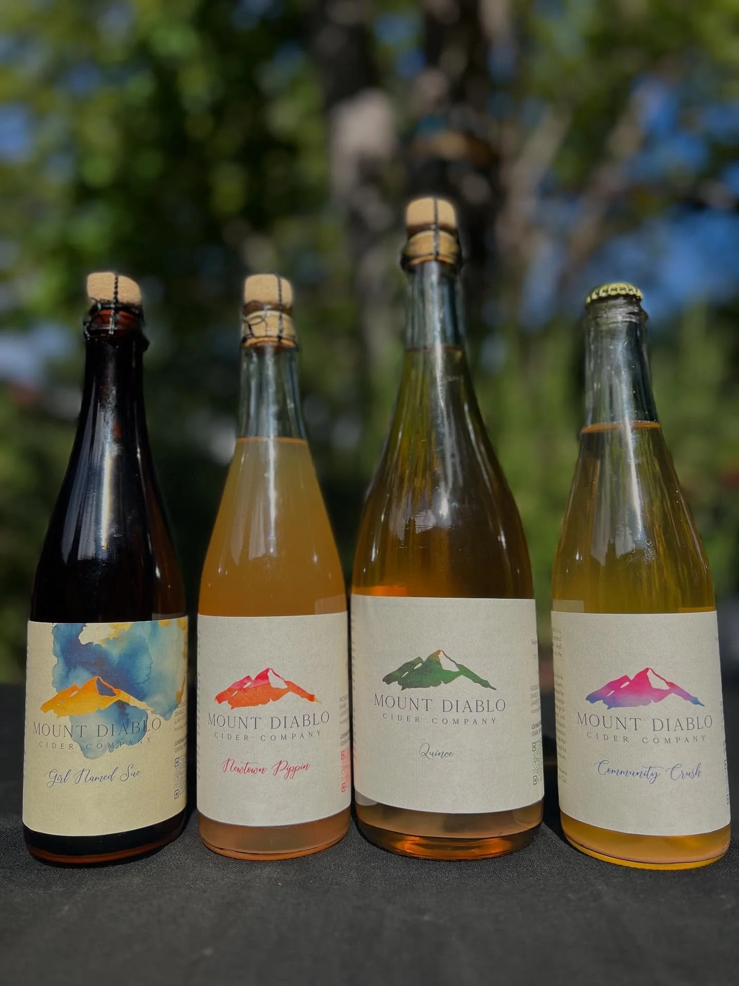 Introducing Our 2024 New Releases (So Far!)

We&rsquo;re thrilled to share four standout ciders that capture the heart of this year&rsquo;s harvest and our ongoing commitment to craft, community, and place. From wild-foraged Gravensteins to backyard 
