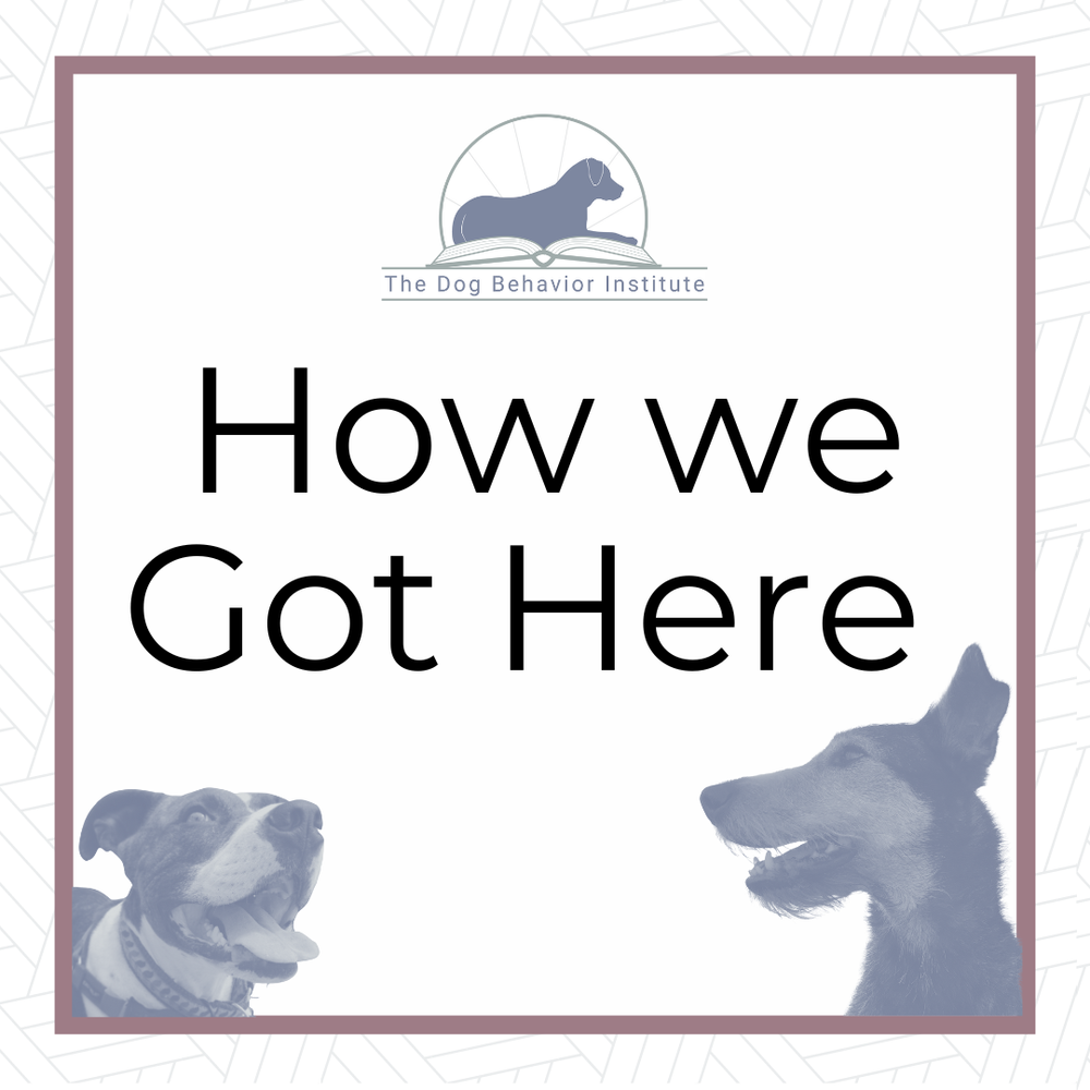 Professional Courses — The Dog Behavior Institute