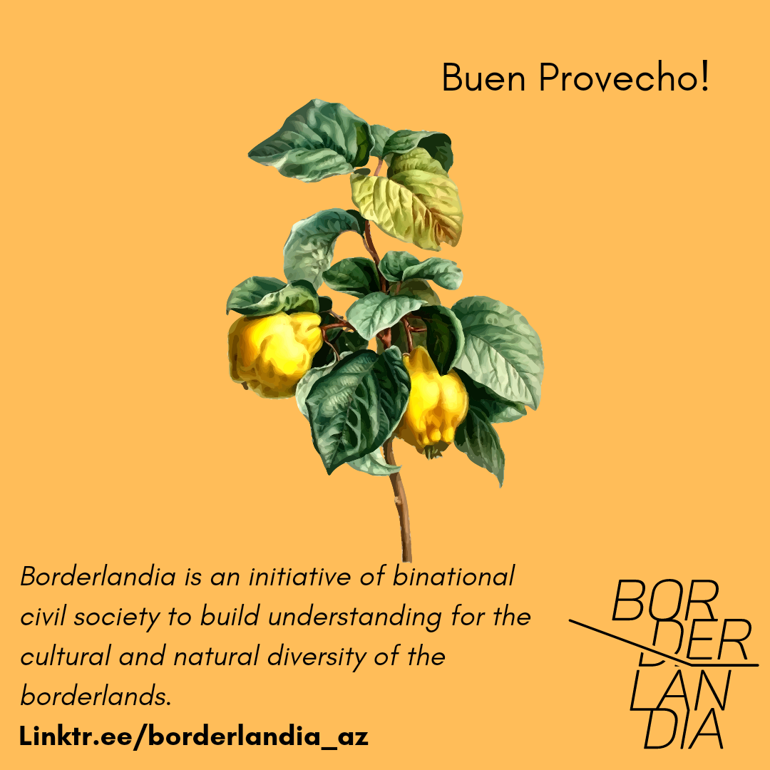 membrillo12.png