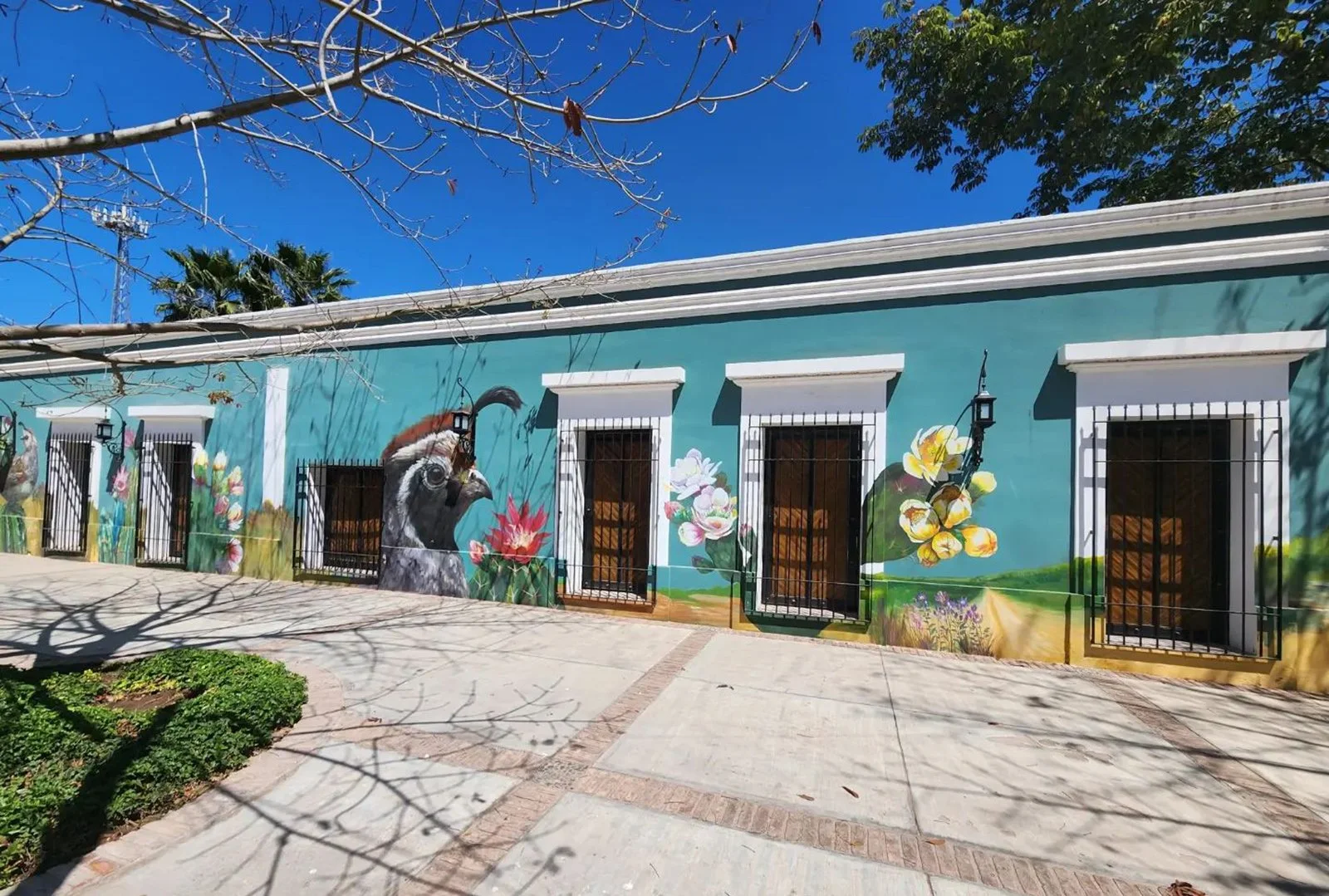 murales_cocorit1.jpg