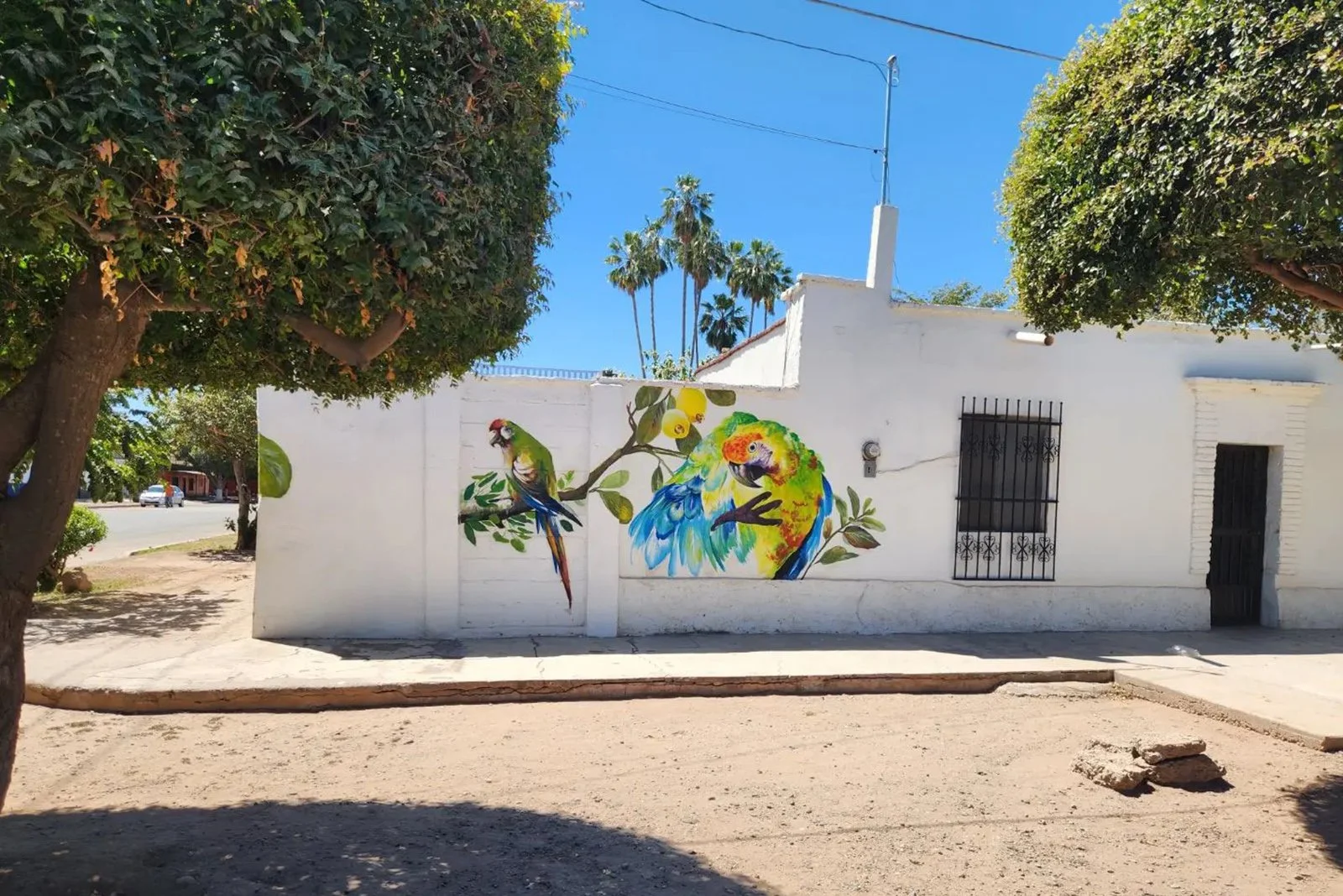 murales_cocorit2.jpg