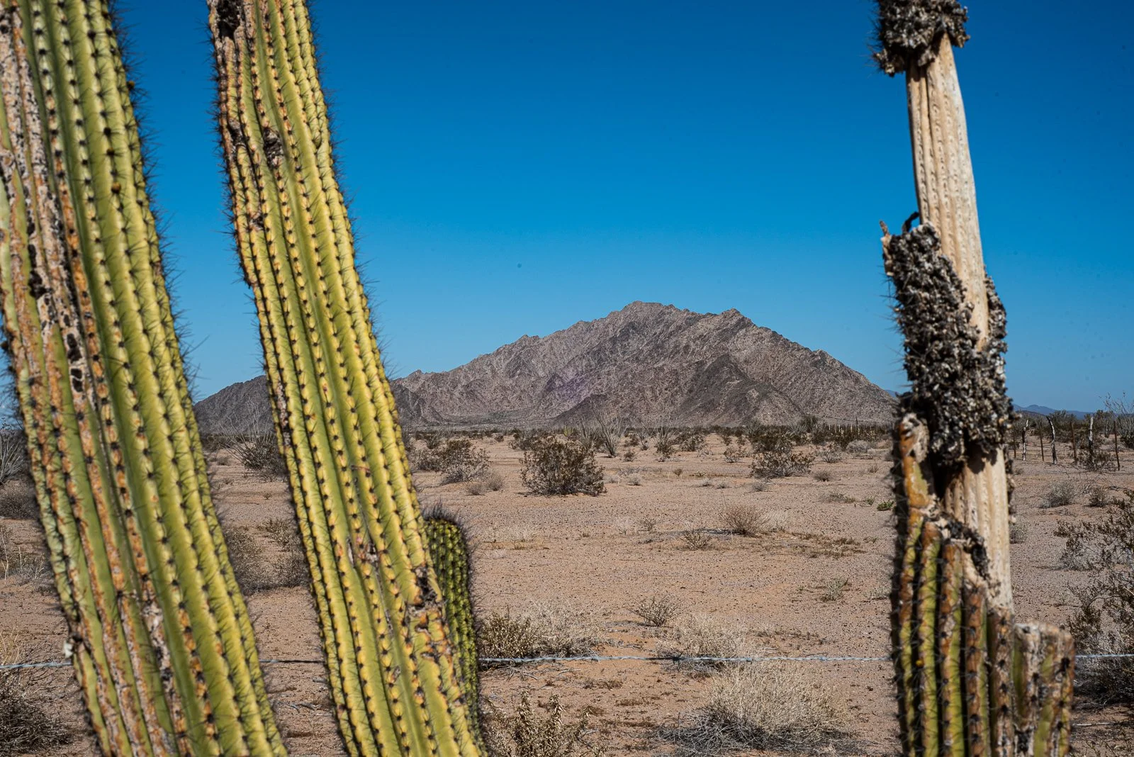 borderlandia_pinacate_feb23-14.jpg