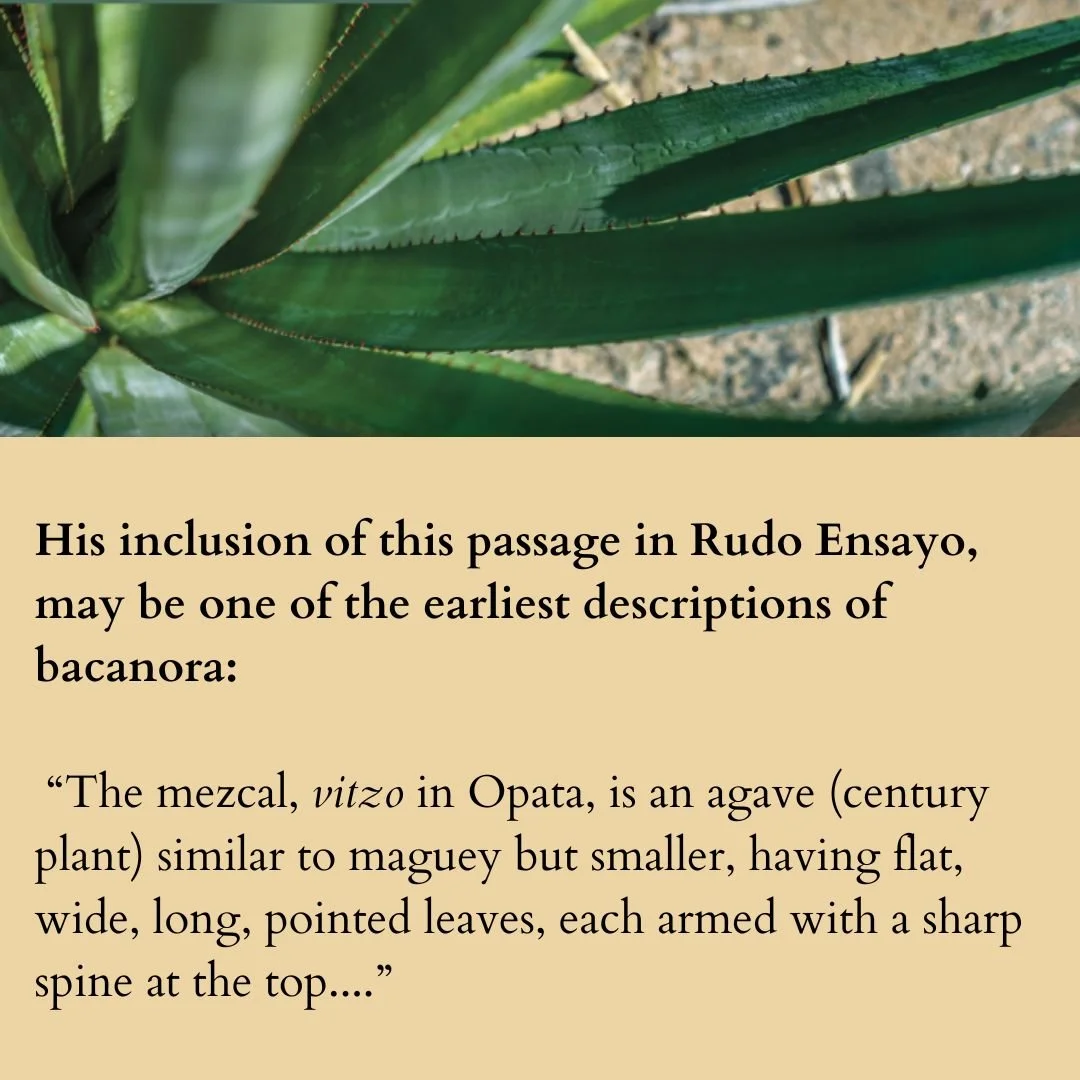 first_metion_of_bacanora3.jpg