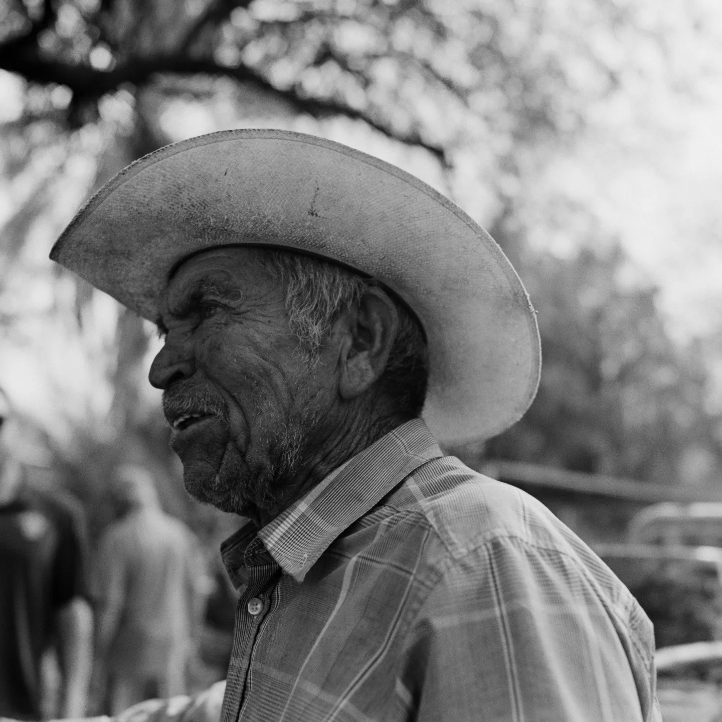 bacanora_tour_justin_donais_2025_6.jpg