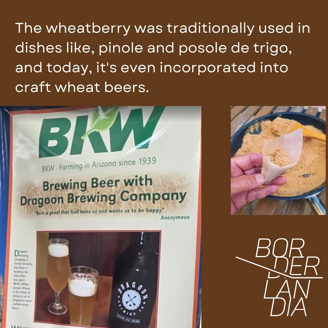 sonora_wheat10.jpg
