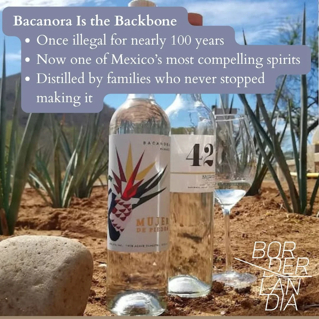 hermosillo food6.jpg